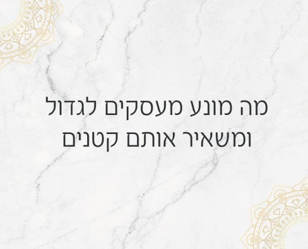 מה מונע מעסקים לגדול ומשאיר אותם קטנים מה מונע מעסקים לגדול ומשאיר אותם קטנים