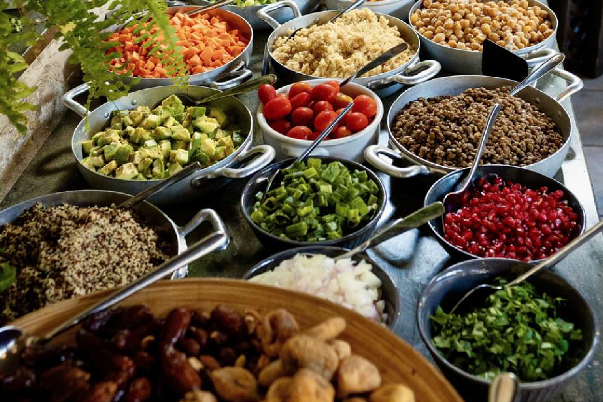 גלריית תמונות-11