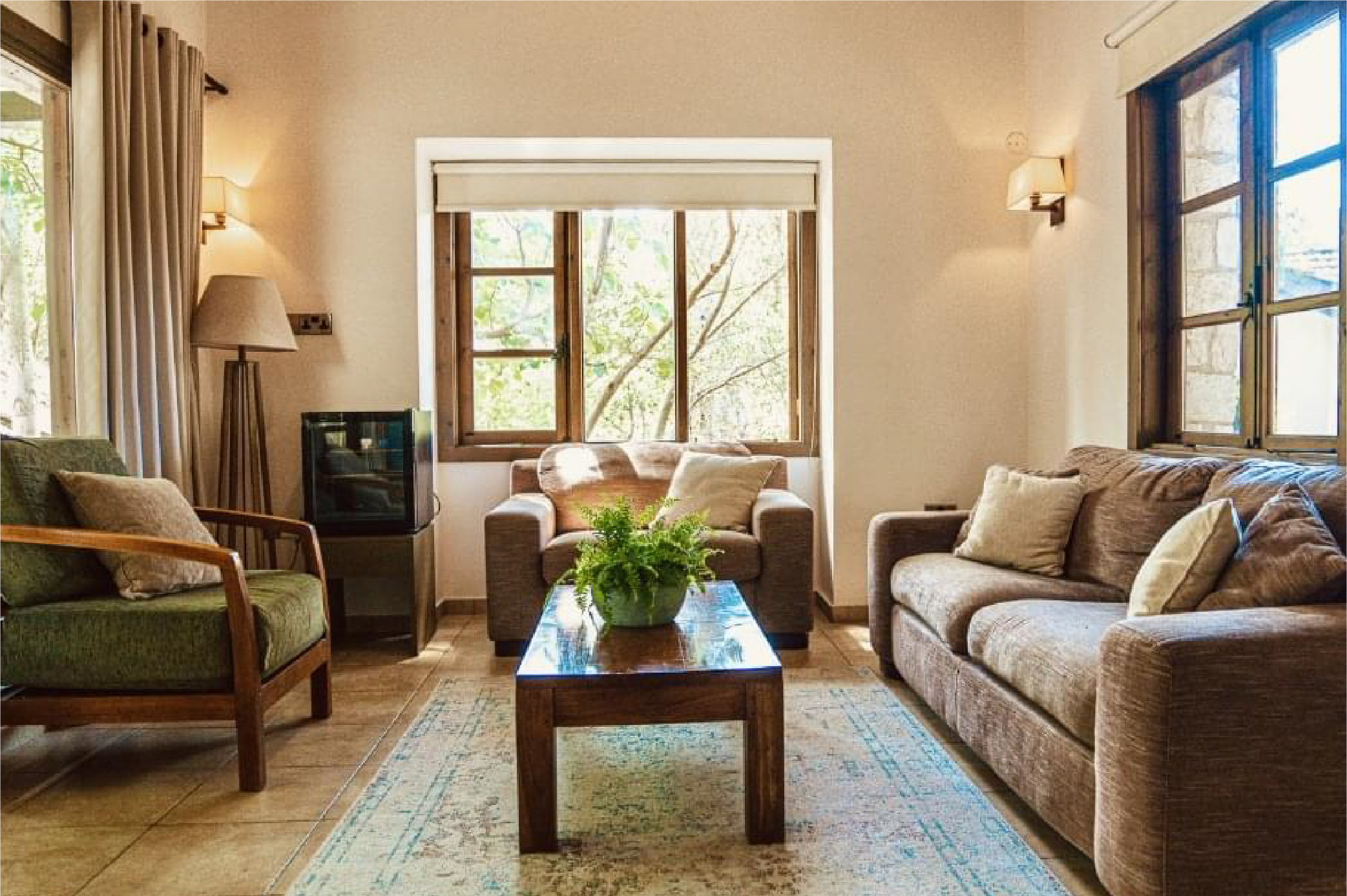 גלריית תמונות-14