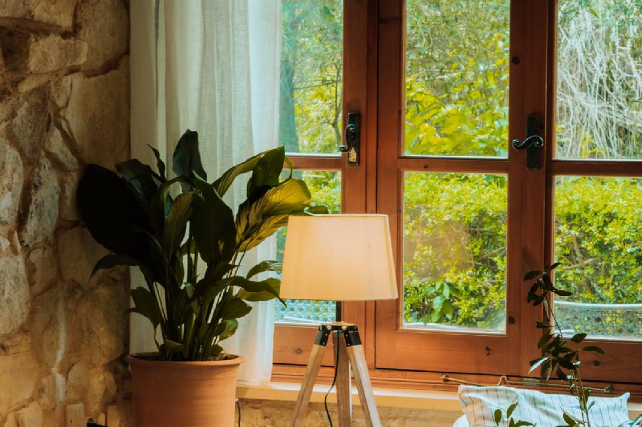 גלריית תמונות-15