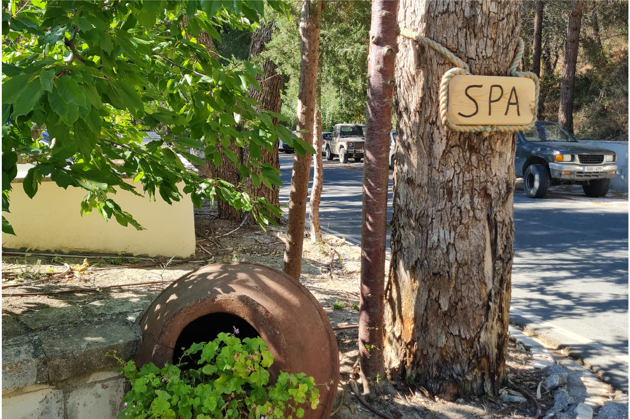 גלריית תמונות-26