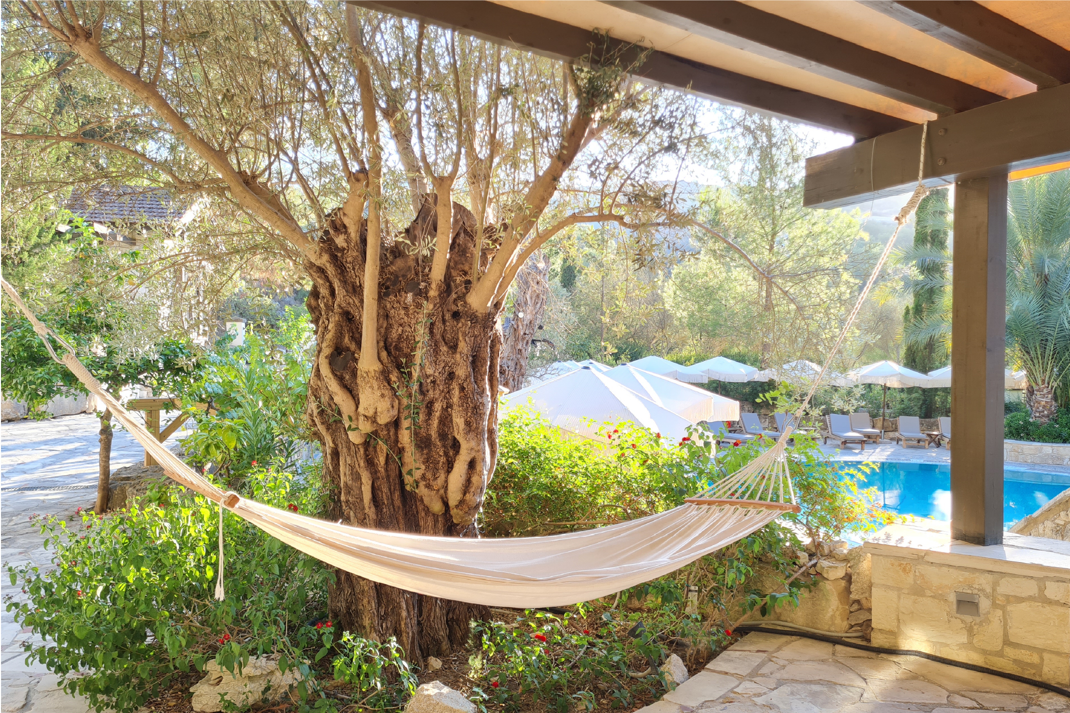 גלריית תמונות-28