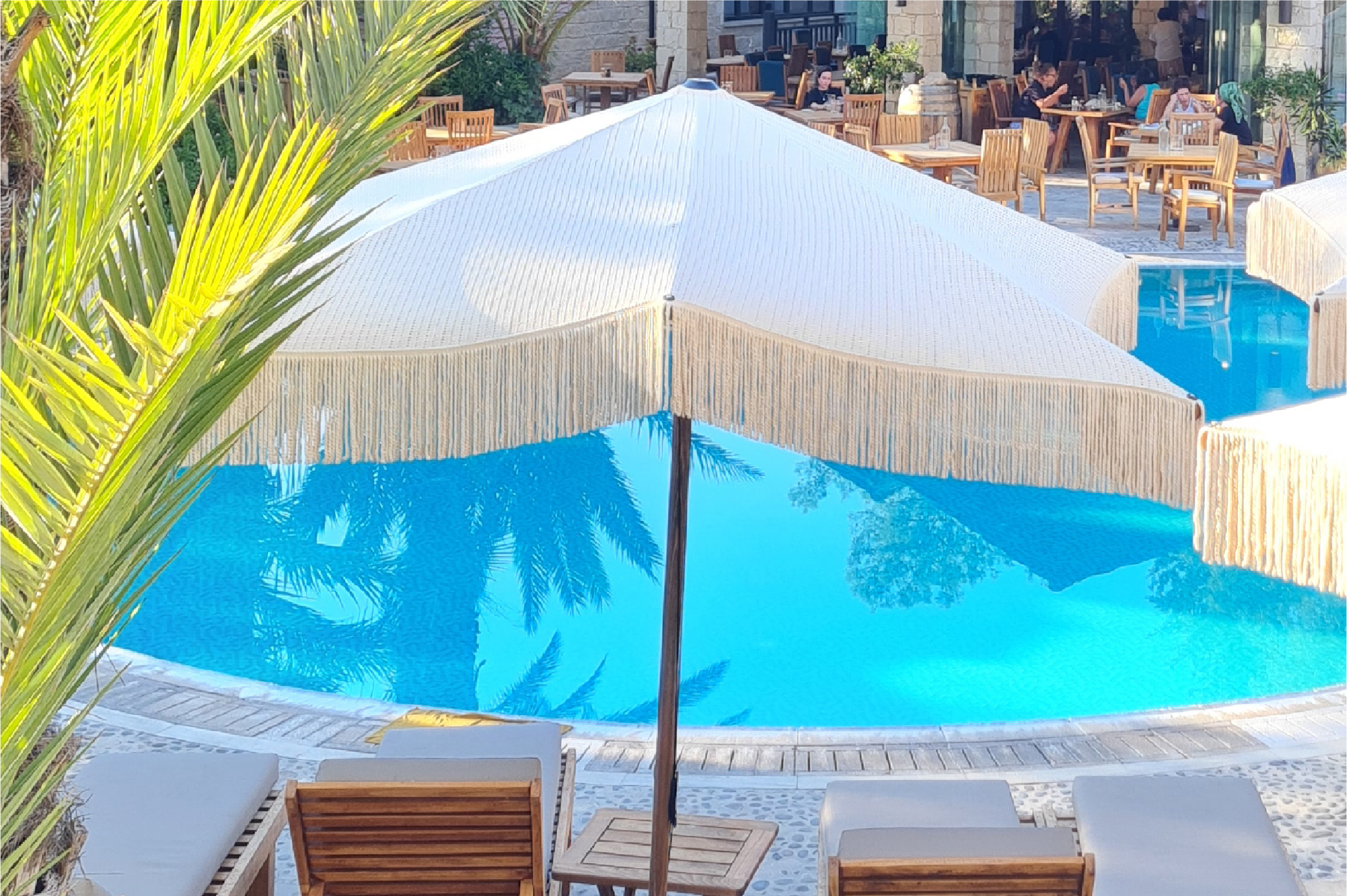 גלריית תמונות-29