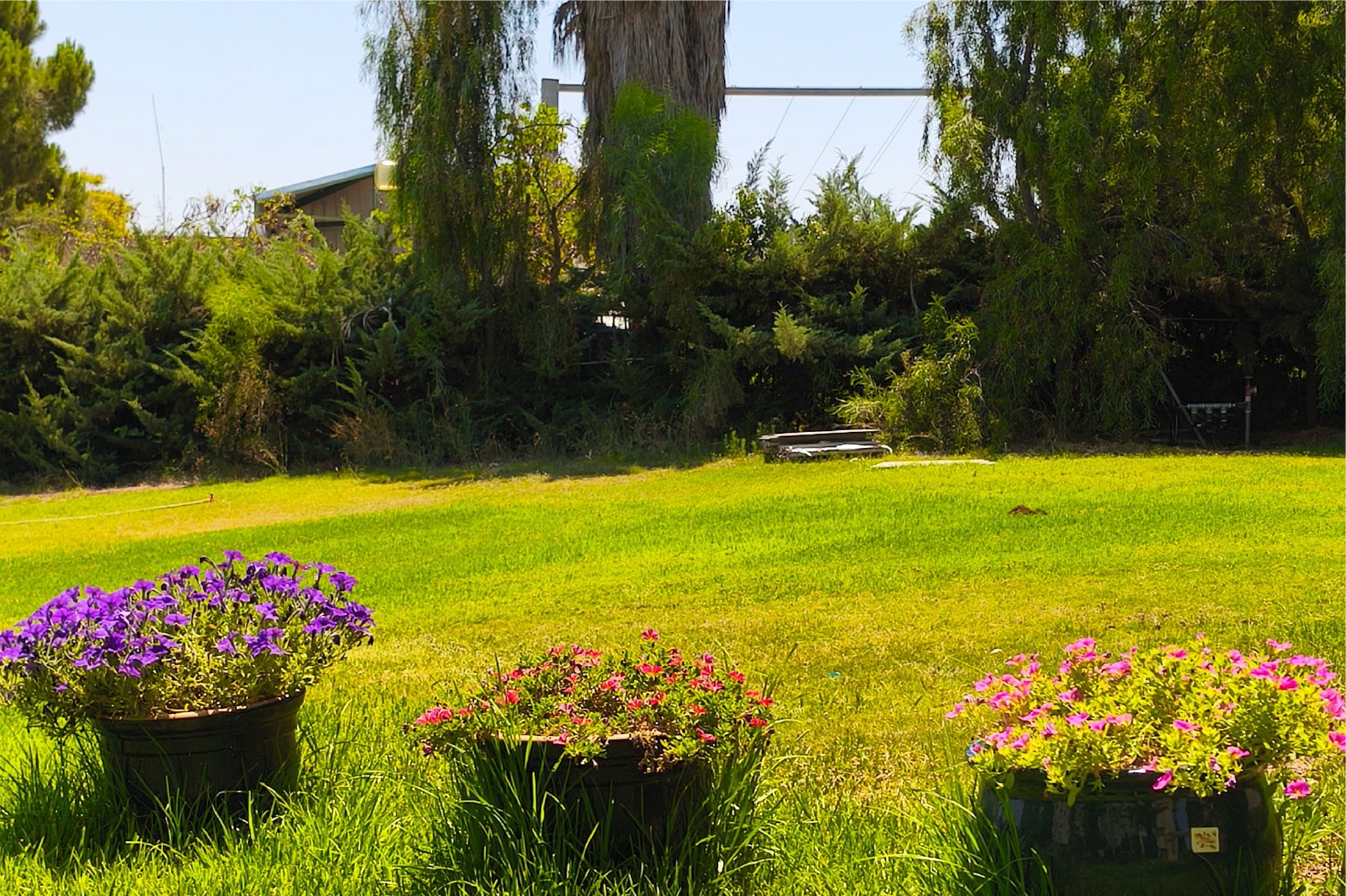 קורס תטא הילינג עם ניצה יניב (1)