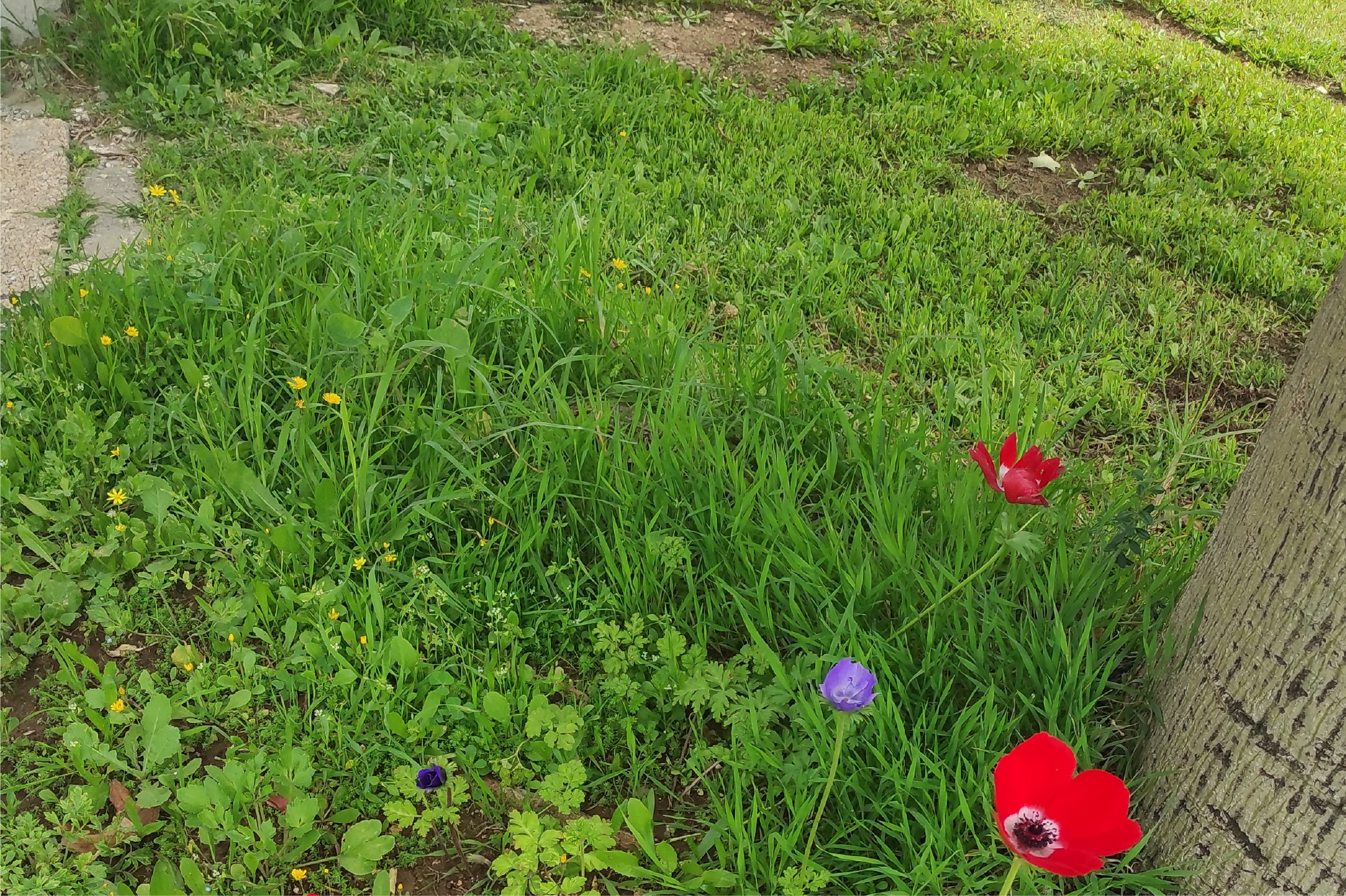 קורס תטא הילינג עם ניצה יניב (12)